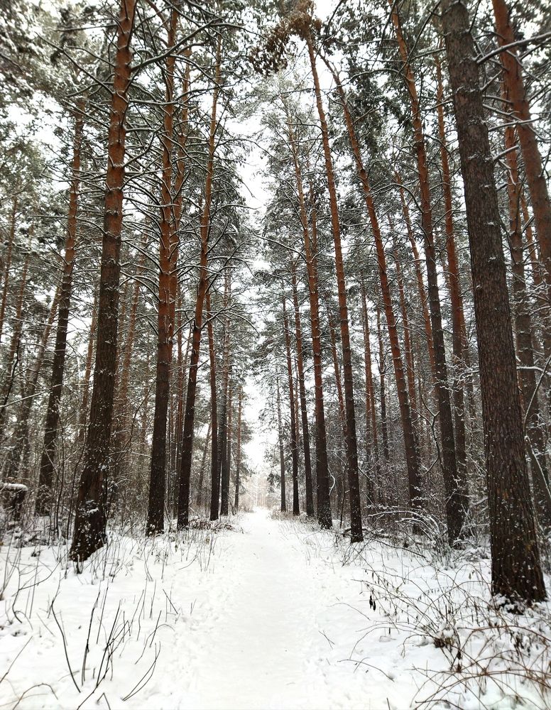 Photograph by Екатерина Лакутина