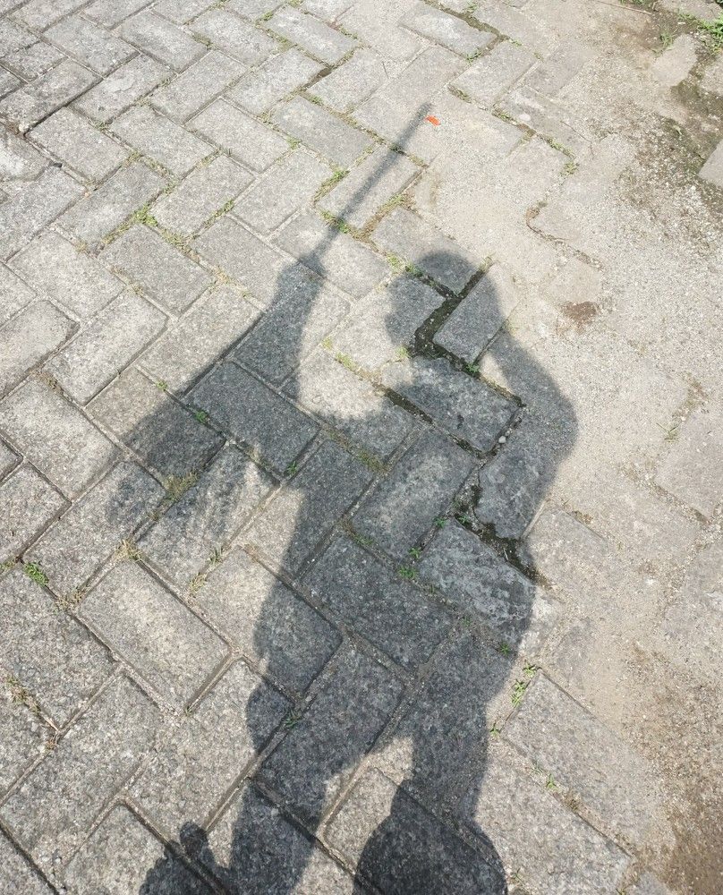 Shadows sweep the street