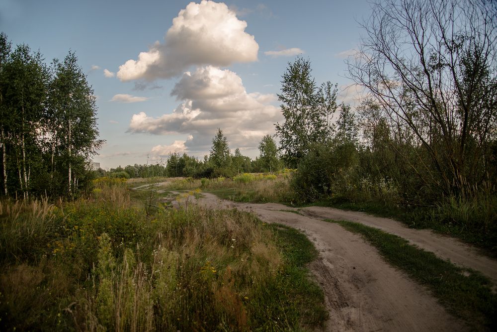 По дороге к облакам