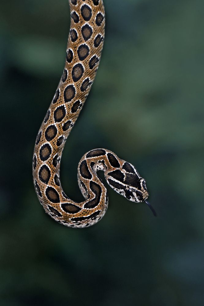 Photograph by ARUNAVA DEY