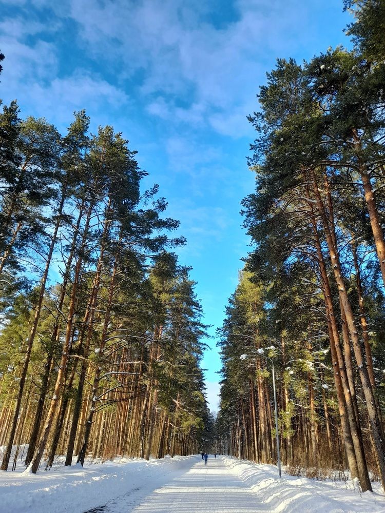 Photograph by Преснухина Екатерина