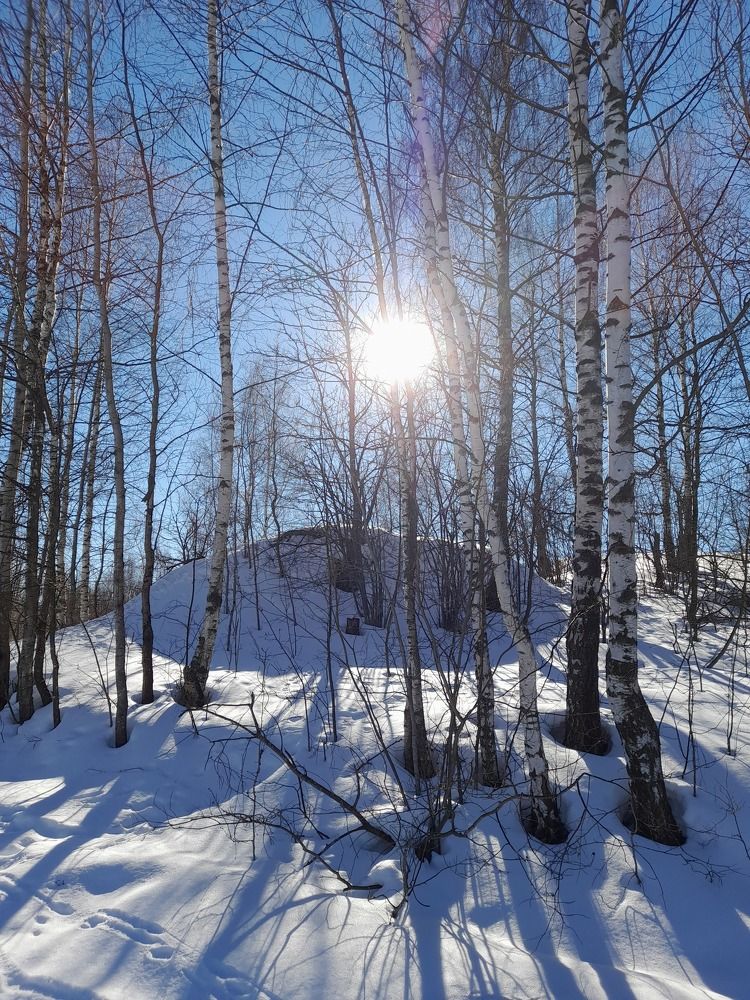 Photograph by Преснухина Екатерина