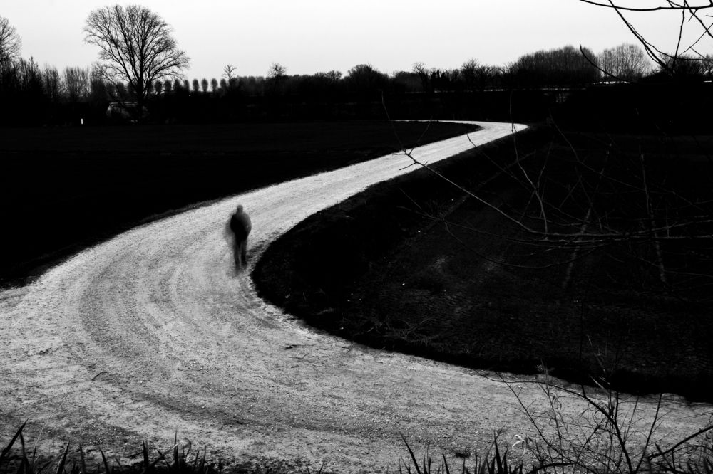 Photograph by Elliott Grieshofer