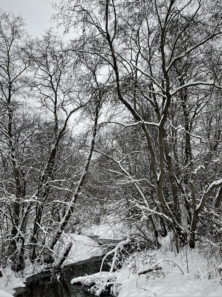 Photograph by Iuliia Akhulkova