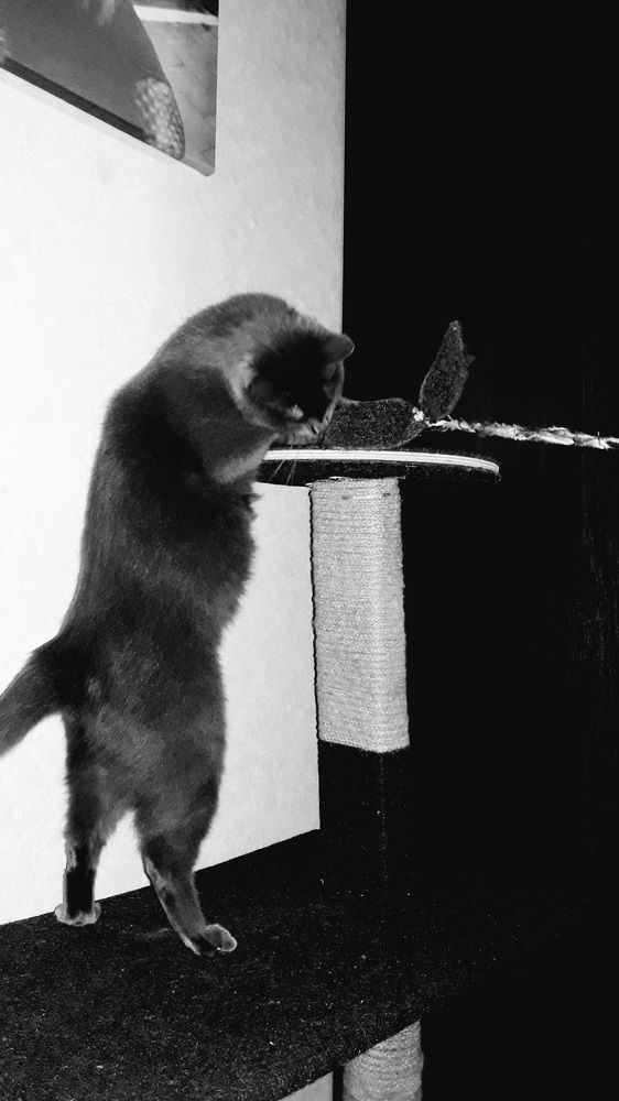 Photograph by Преснухина Екатерина