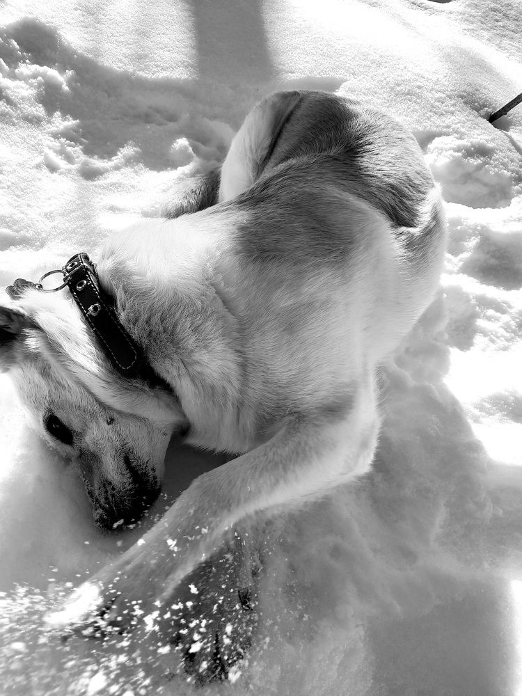 Photograph by Преснухина Екатерина