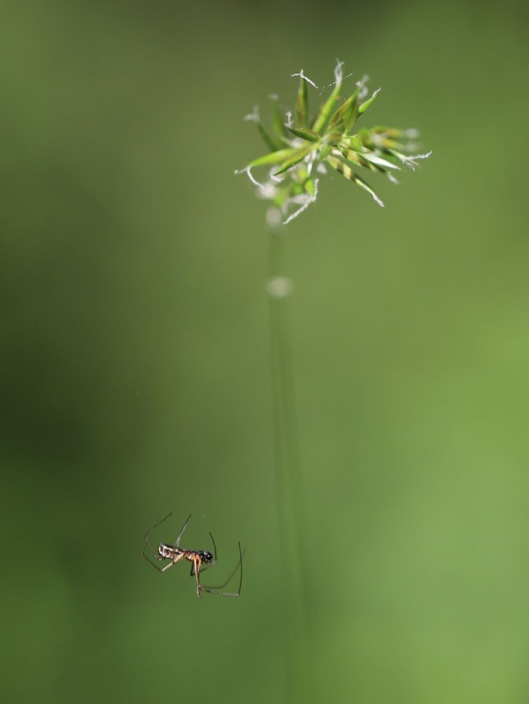 Photograph by Елена Тимченко