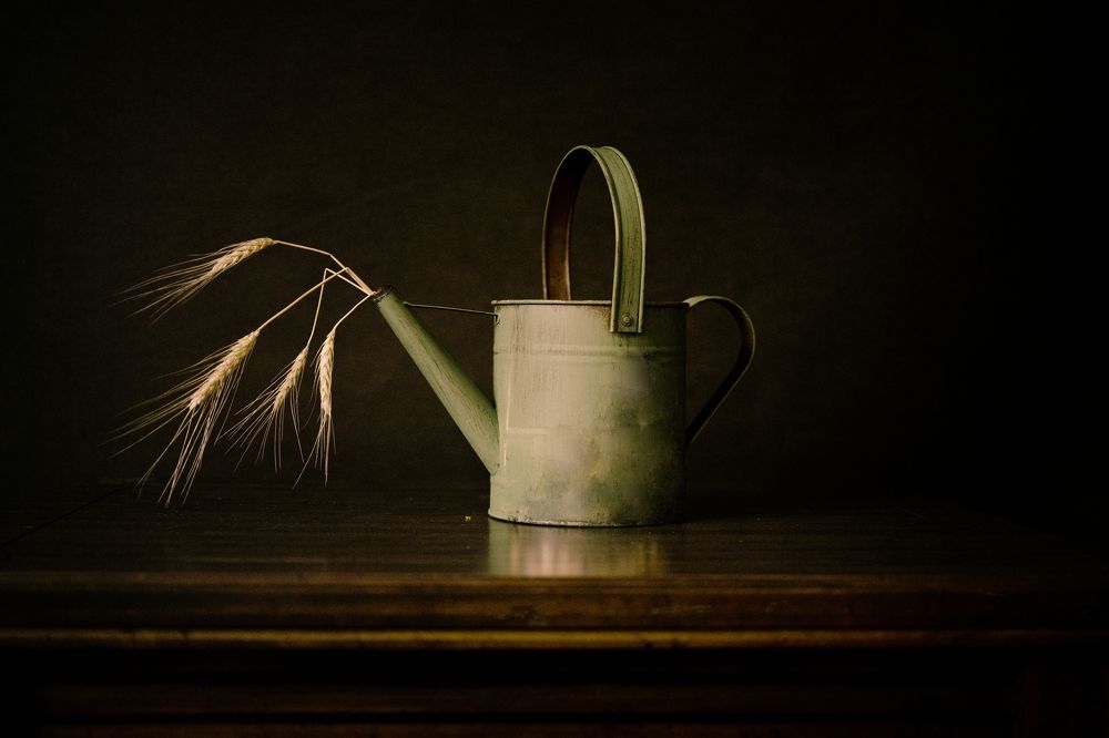 Photograph by Olga Tarlton