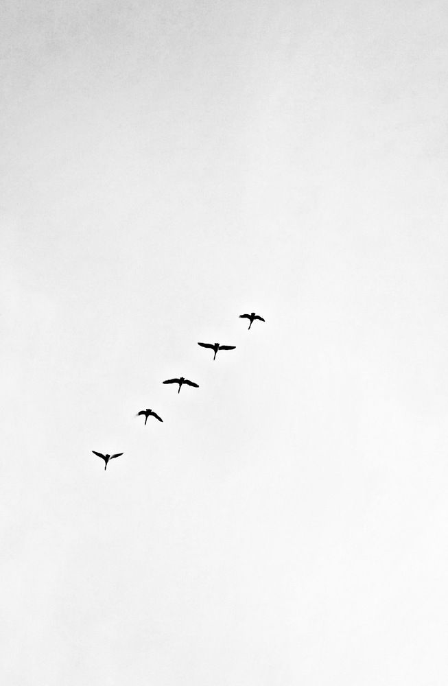 Photograph by Кристина Кублашвили