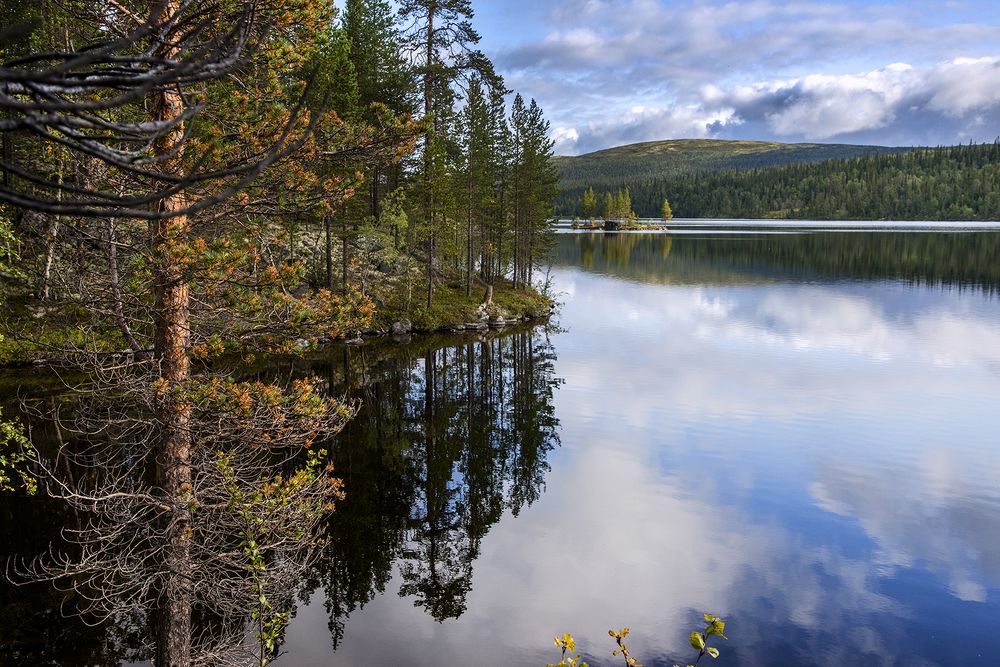 Photograph by Елена Коваленко