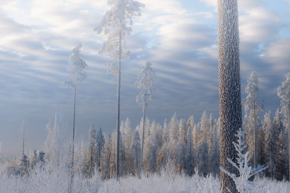 Photograph by Тая Михайлова