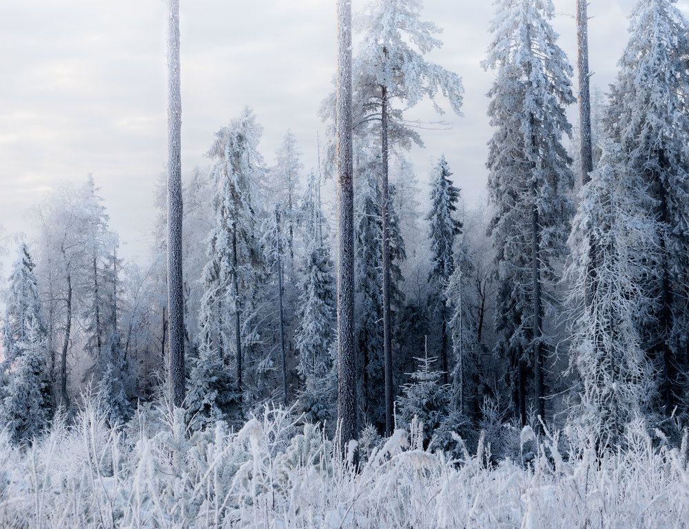 Photograph by Тая Михайлова