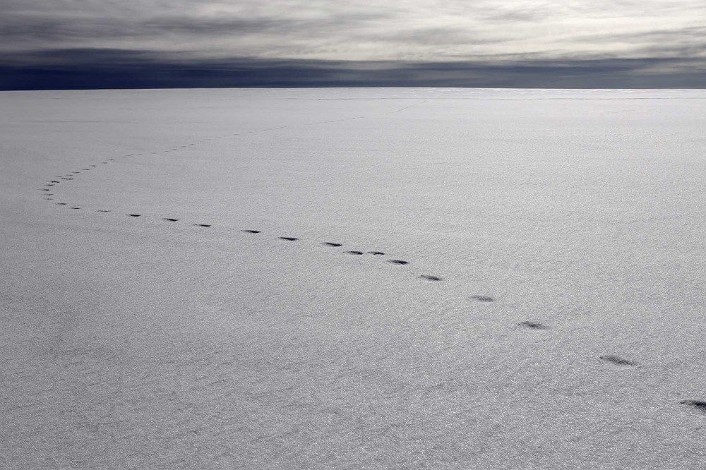 Фотография автора Павел Мартюшев