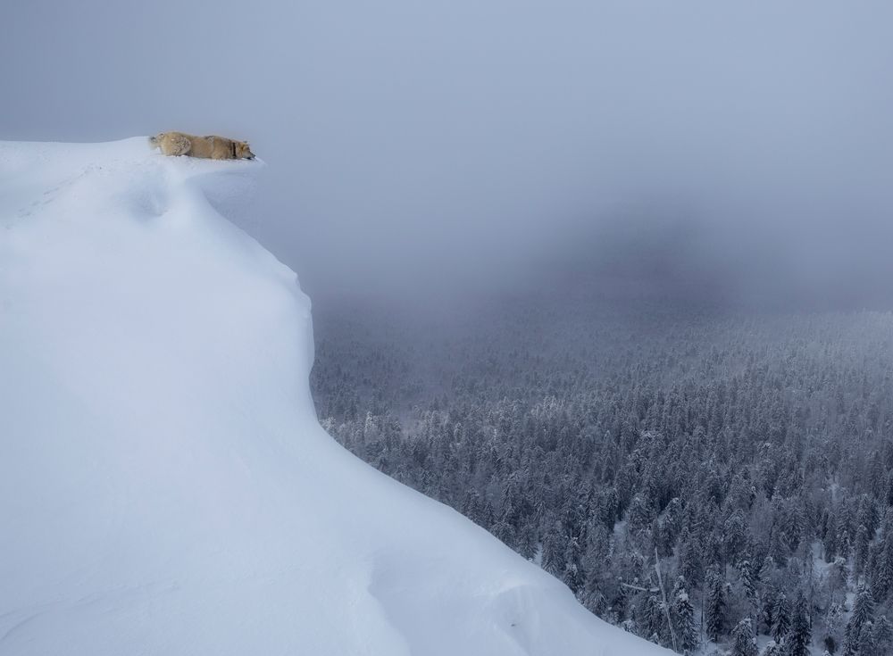 Photograph by Александр Чазов