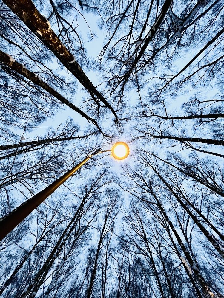 Зимнее настроение