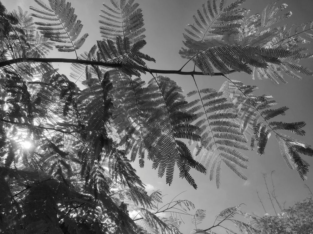 Photograph by Ирина Саттарова