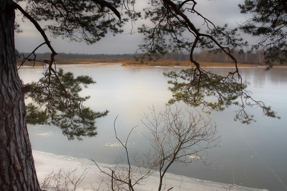 Photograph by Татьяна Романова