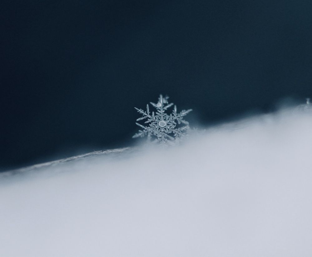 Photograph by Леунина Людмила