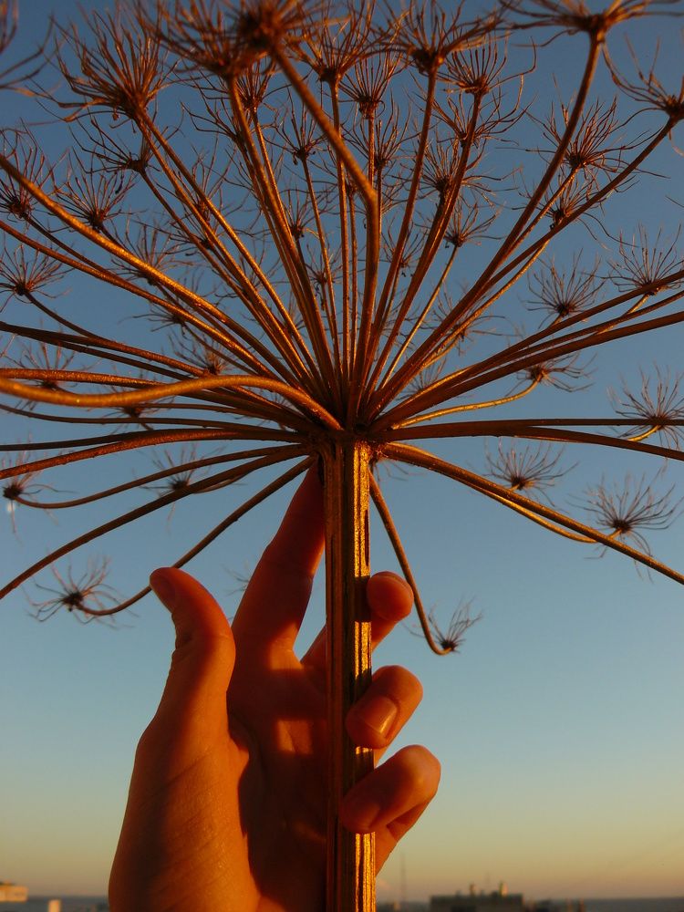 Фотография автора Алина Васильченко