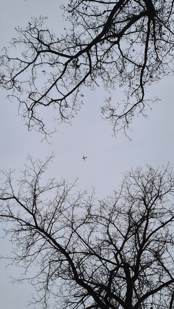 Photograph by Анастасия Маклакова