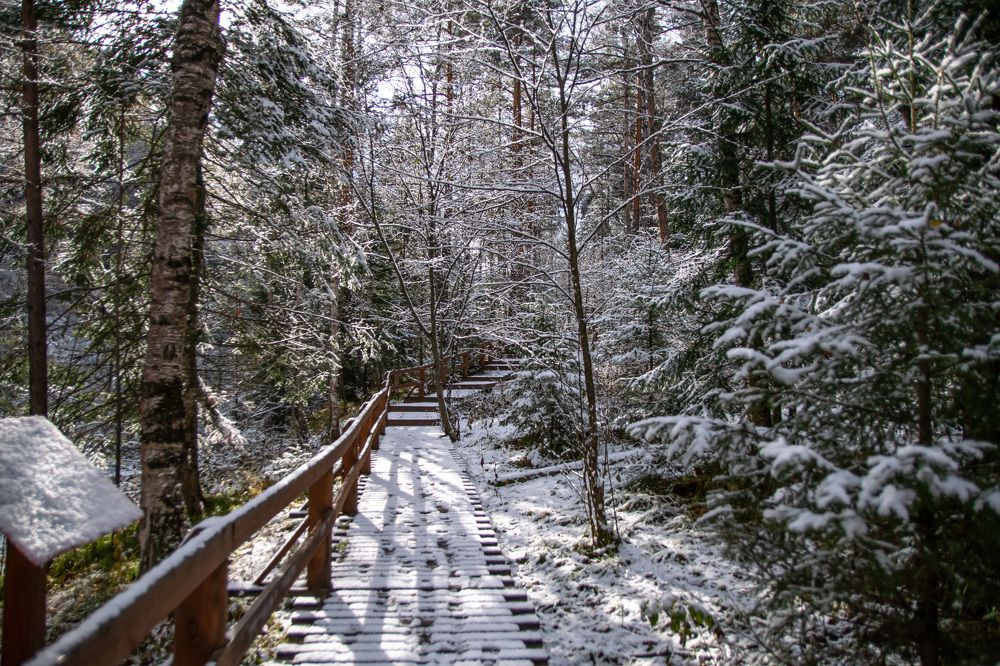 Photograph by Олег Маменко