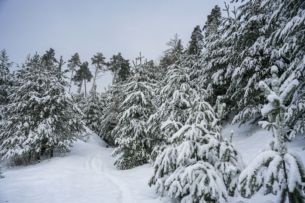 Photograph by Марина Суздаль