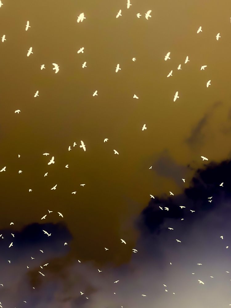 Photograph by Anna Mishina