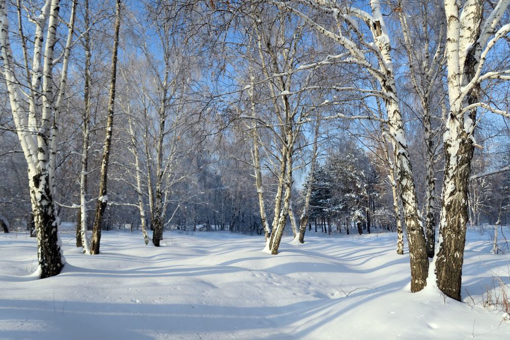 Photo #8527592