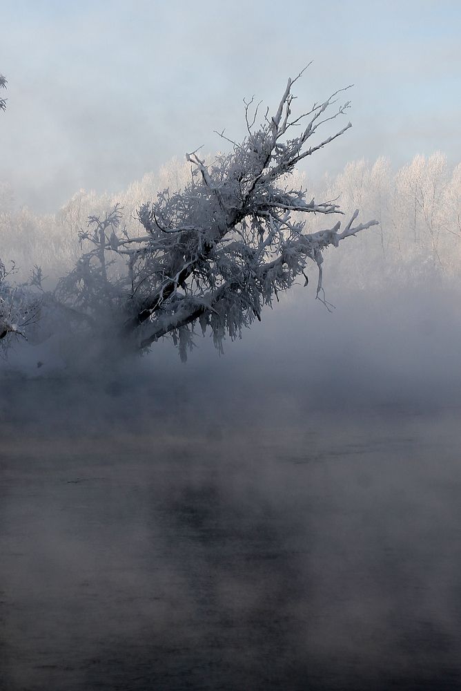 Фотография автора Любовь Харина