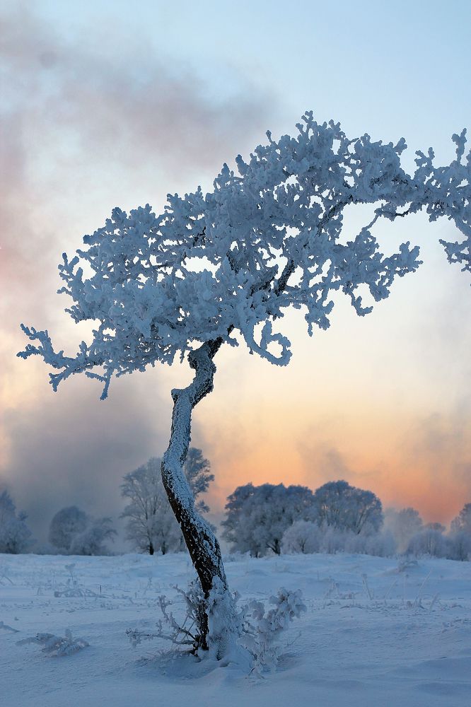 Фотография автора Любовь Харина