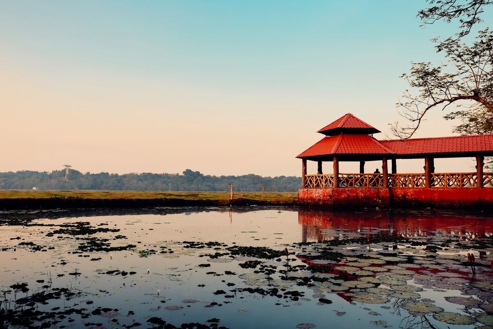 Photograph by Abhilash Biswal