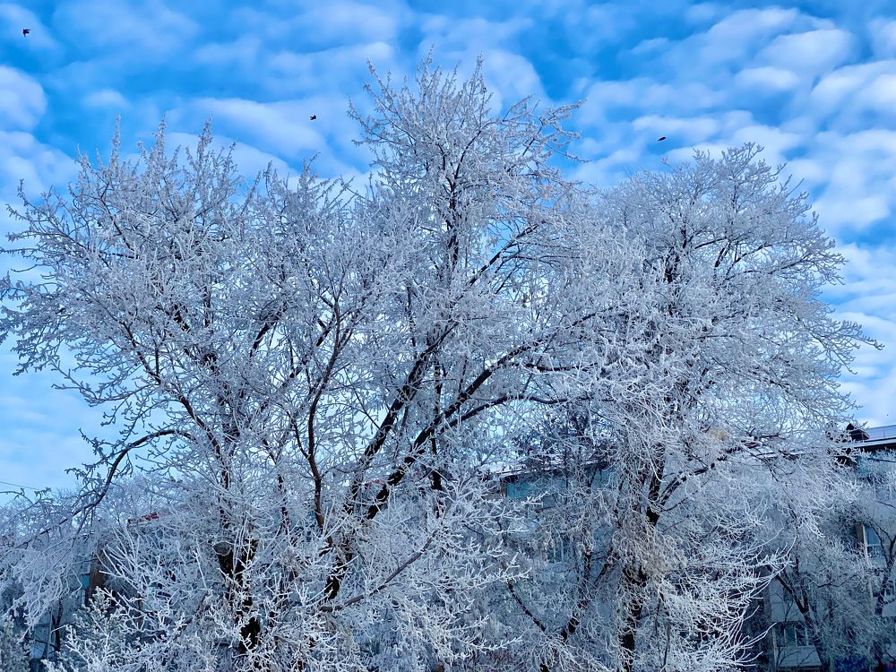 Photograph by Андрей Нечунаев