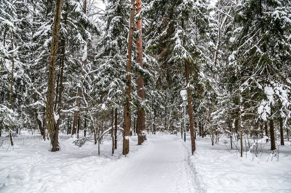 Photograph by Андрей Нечунаев