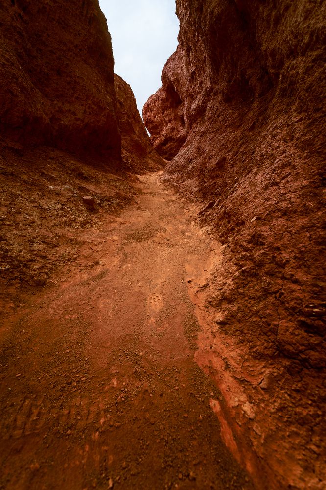 Photograph by Сергей Андреев