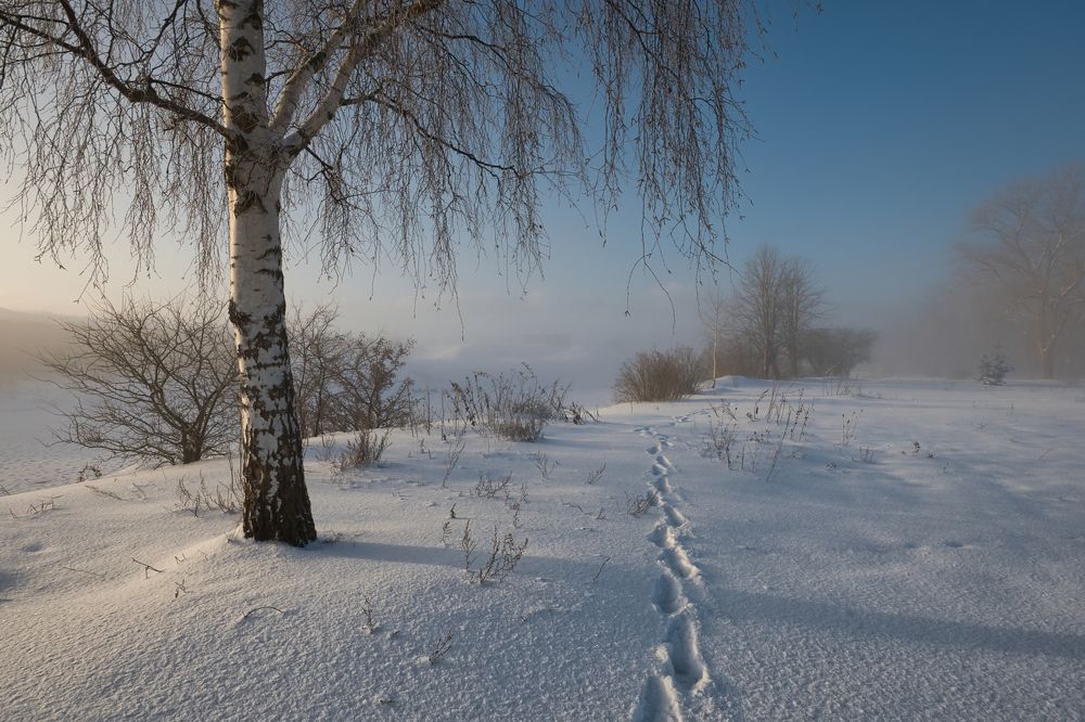 Photograph by Albina Kulikova