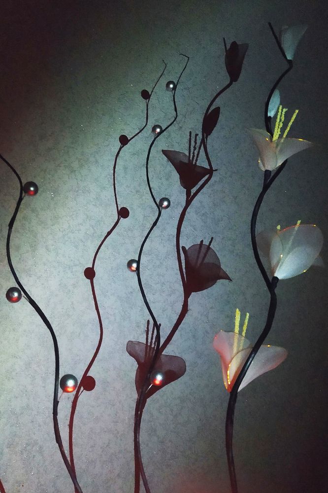 Photograph by Альфия Агзамова