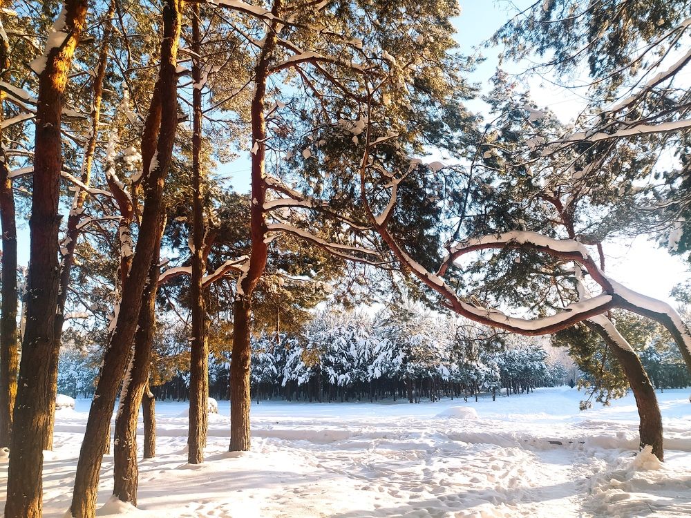 Photograph by Ирина Половцева