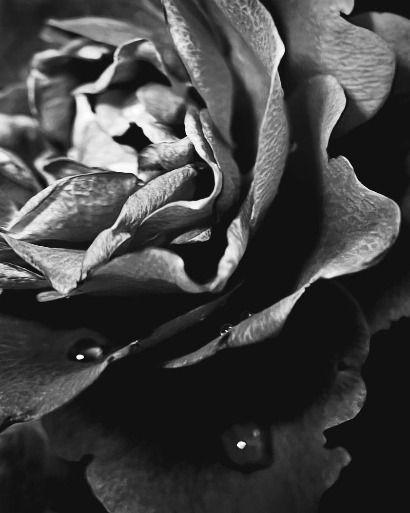 Photograph by Oxana Petlina