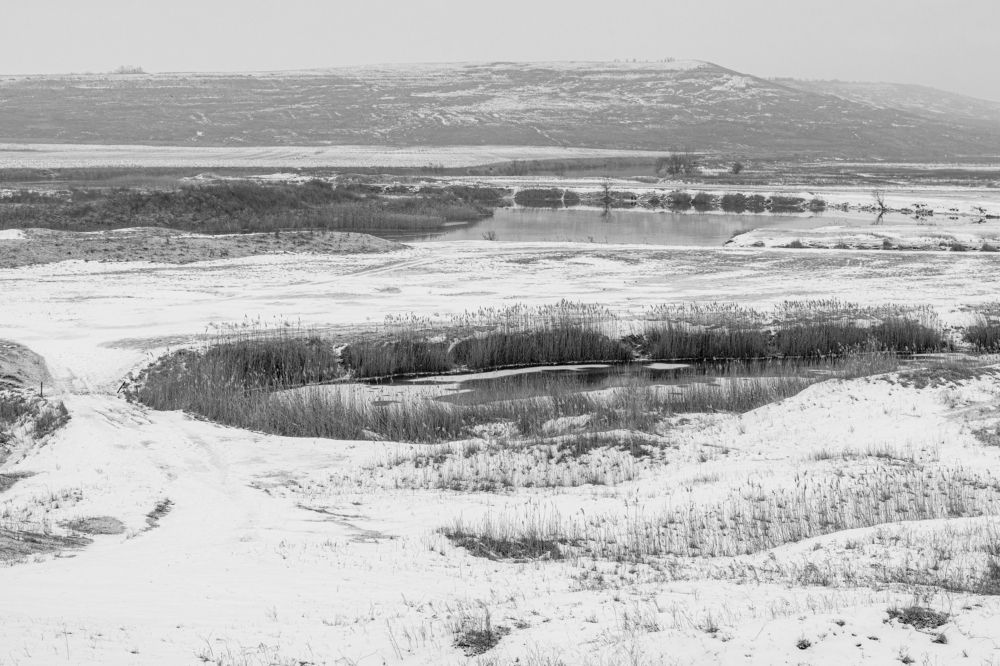 Photograph by Пиленгас Александр