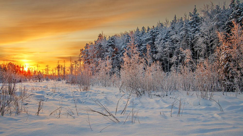 Югра. Полдень.