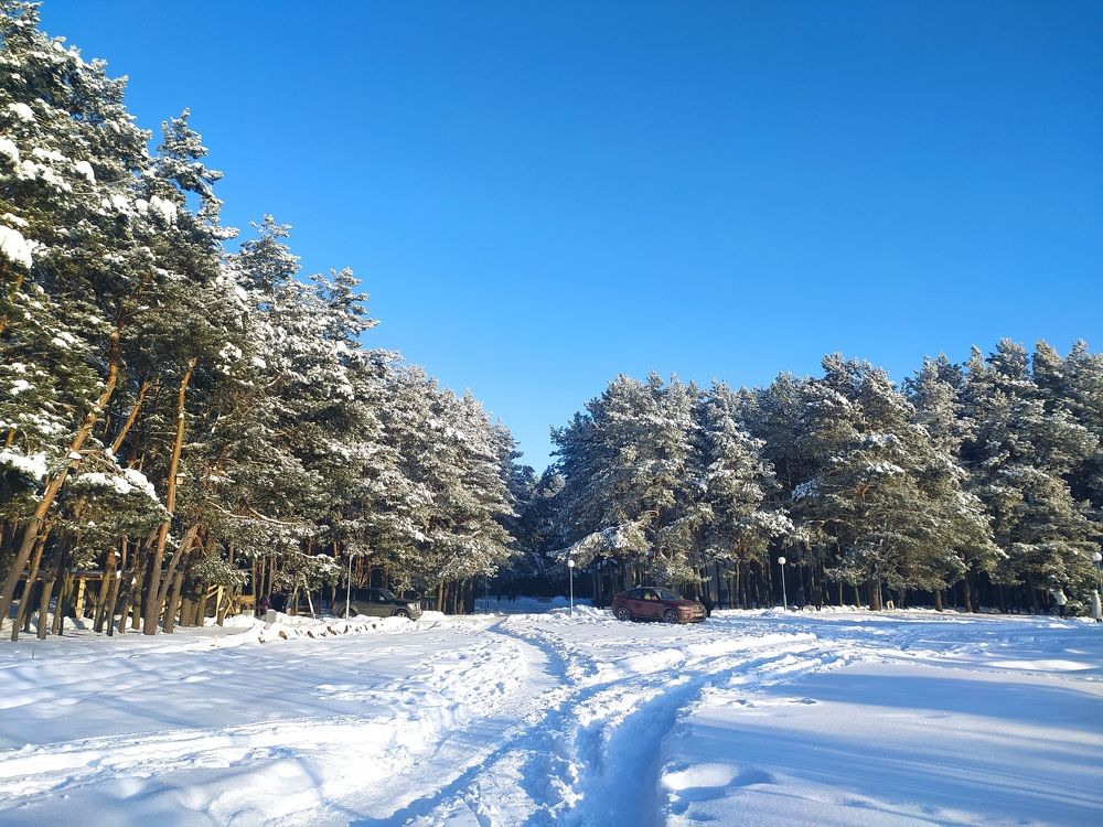 Photograph by Ирина Половцева