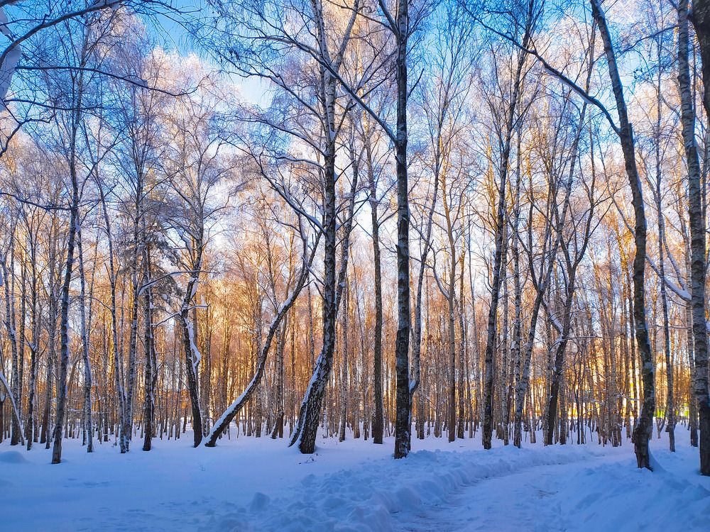 Photograph by Ирина Половцева