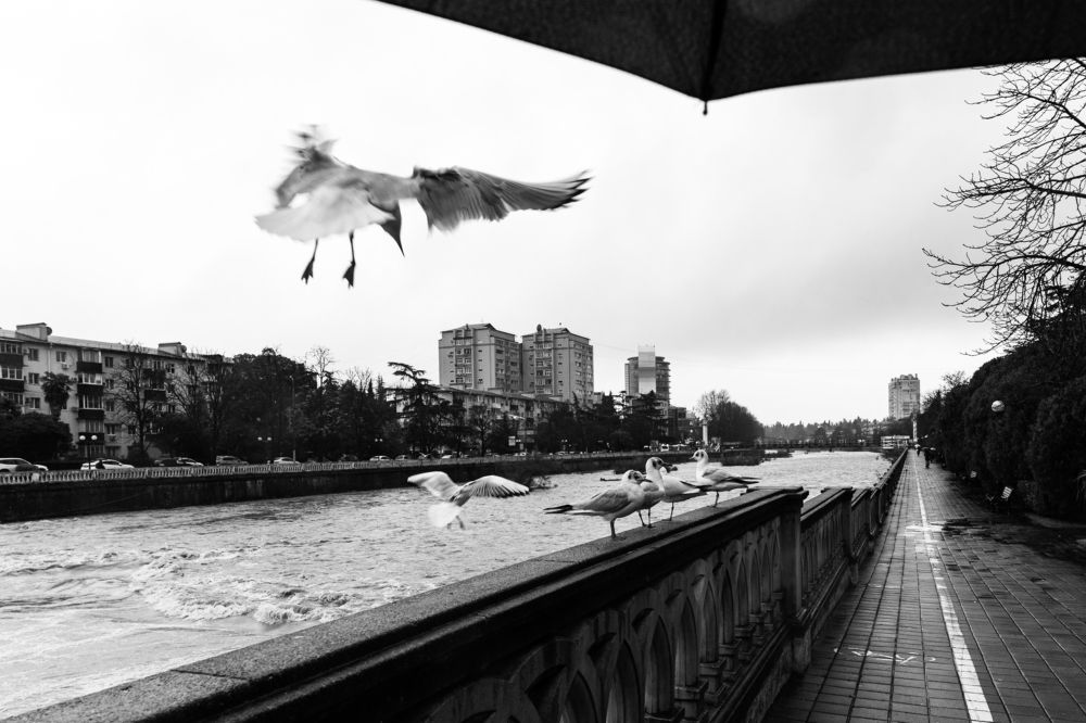 Photograph by Пиленгас Александр