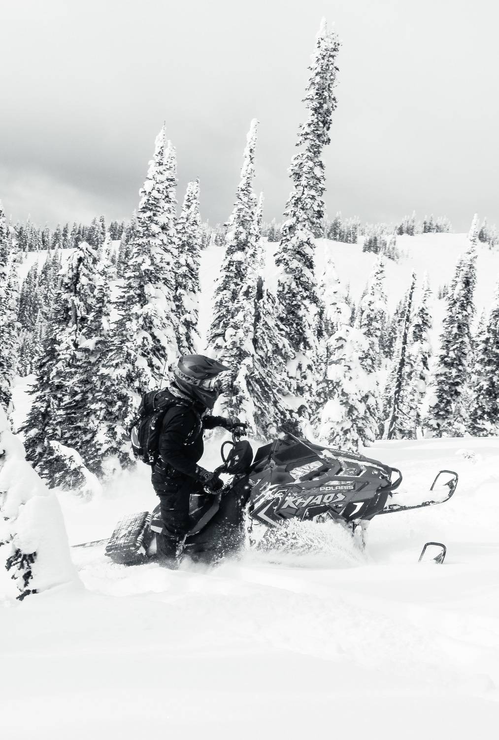 Photo #8527781