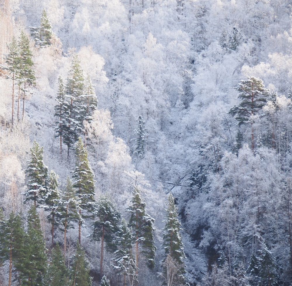 Photograph by МАрина Соловьева