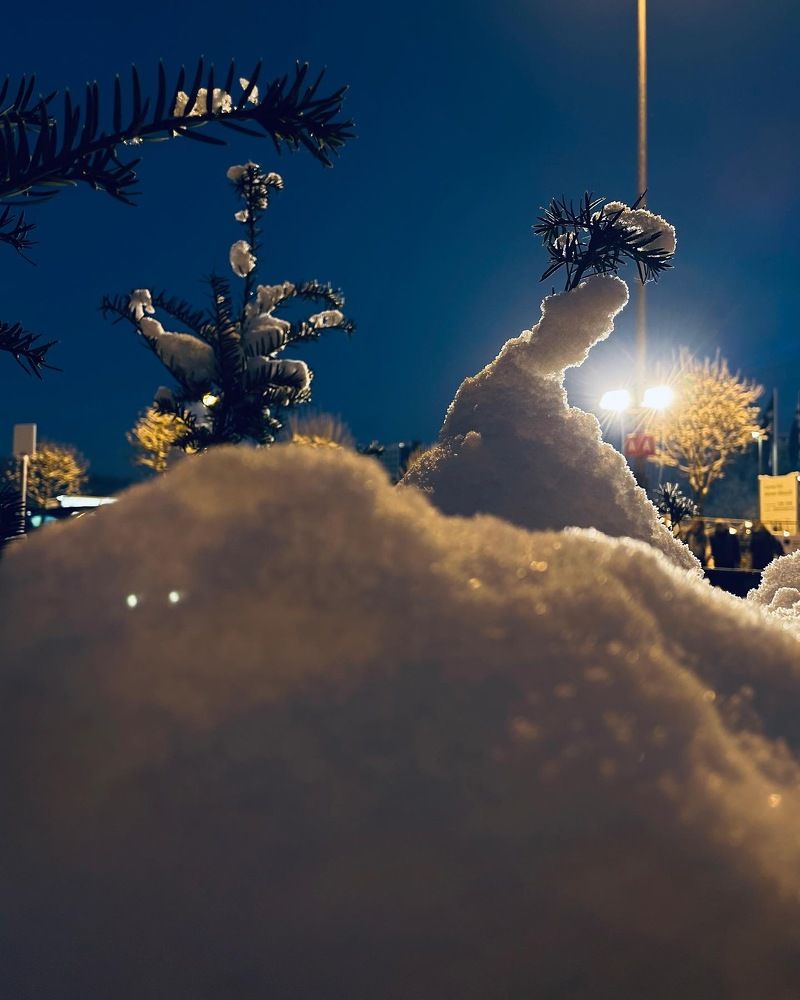 Фотография автора Ramin Ismayilov