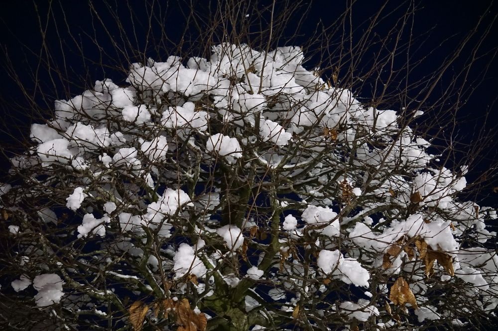 Фотография автора Ramin Ismayilov