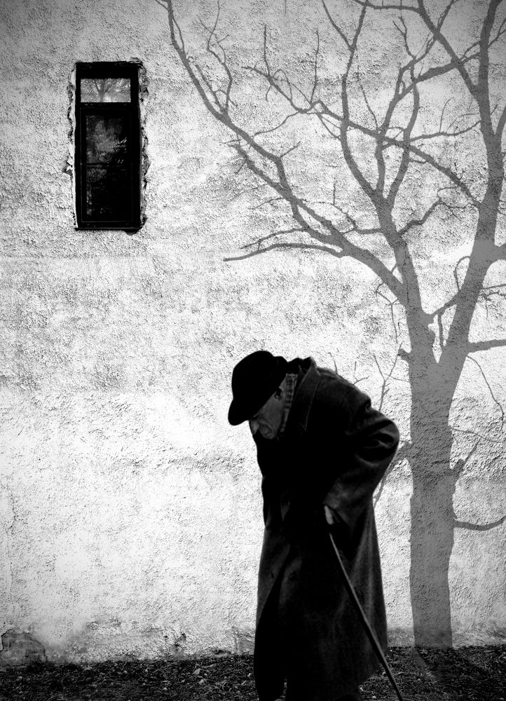 ТЕНИ ВРЕМЕНИ