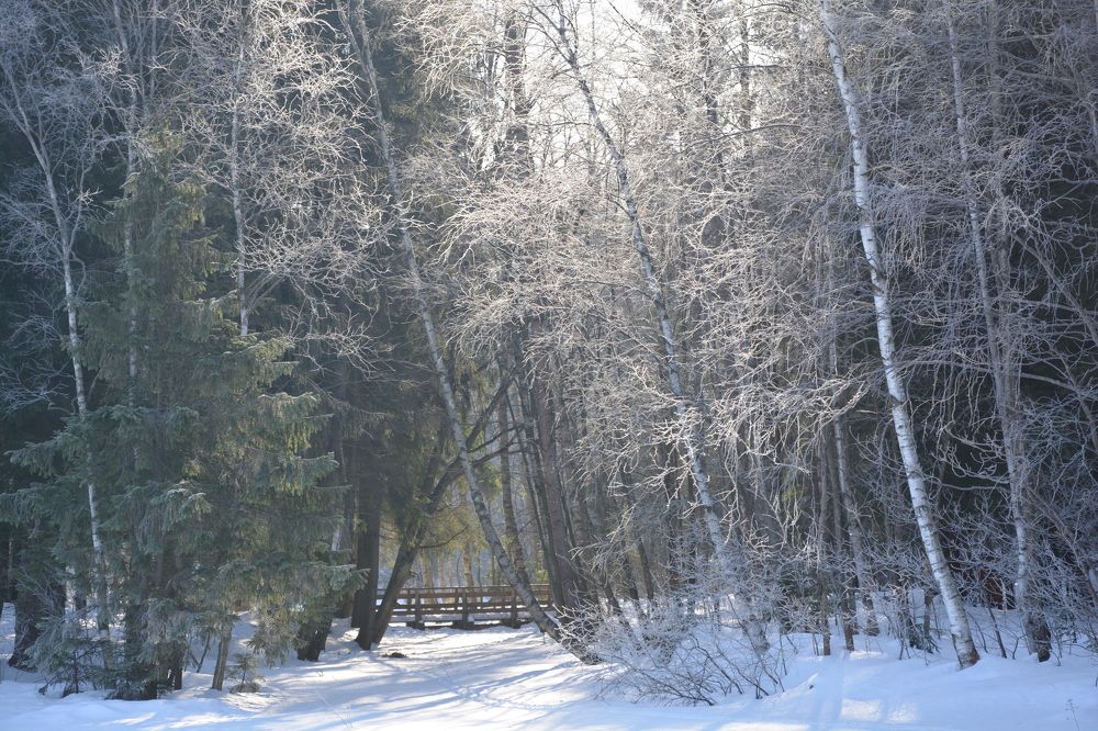 Photograph by Елена Вершинина