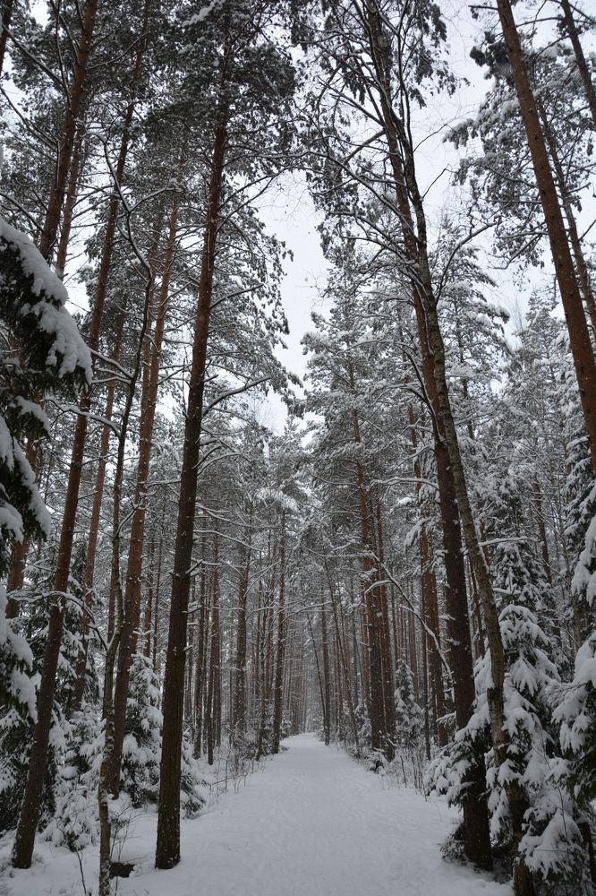 Photograph by Елена Вершинина